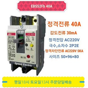 LS산전 EBS52Fb 2P 40A/30mA 누전차단기 5kA ELCB ELB, 1개