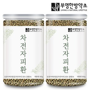 부영한방약초 차전자피환 300g, 2개