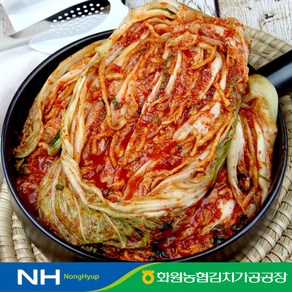 전라도 해남 땅끝마을 농협 포기김치 새우젓갈 100% 국산 농산물 김장 배추 김치, 1개, 10kg