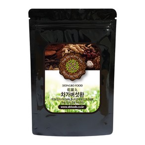 [러시아산] 차가버섯환 150g, 1개