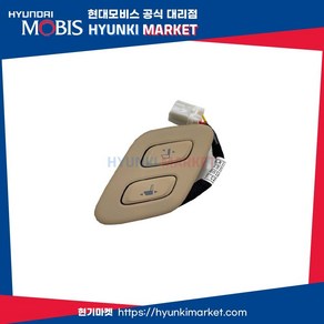 스위치워크 인 (88679B1000WYB)