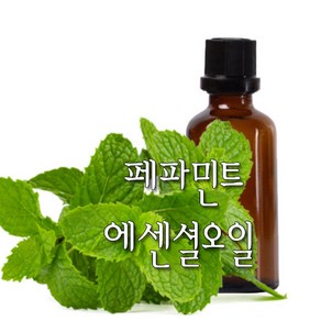 허니솝 페파민트 아로마 에센셜오일, 페파민트 에센셜오일  10ml, 1개