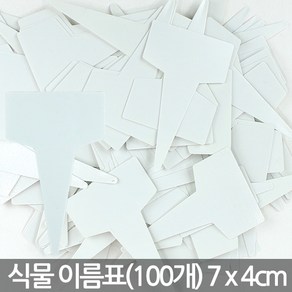 화분이름표X100개 - 소형 칼라 T자 사각 화분 이름표 네임픽 푯말 꽂이 꽃이름표 일자 분갈이 원형 칠판 컬러