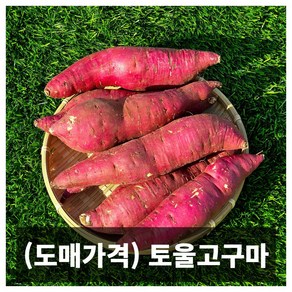 프리미엄 전남 영암 토울 고구마 5kg 10kg, 1개, 10kg 긴대+긴중 혼합