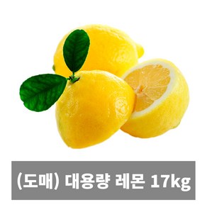 대용량 프리미엄 칠레 미국 팬시 레몬 대용량 17kg 카페 업소용, 1개, 레몬 165과 17kg