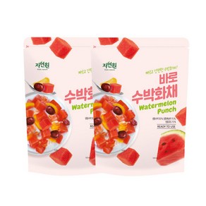 [자연원] 바로수박화채 500g x 2팩, 2개