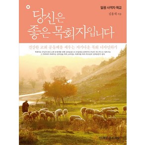 당신은 좋은 목회자입니다:건강한 교회 공동체를 세우는 자기다운 목회 디자인하기, 좋은씨앗