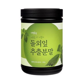 두손애약초 돌외잎추출분말, 1개, 300g