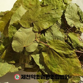 국산 음양곽 삼지구엽초 60g 제천약초영농조합, 1개