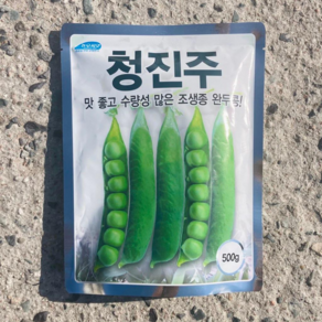 완두콩종자/청진주완두콩 정품 500g (60~70평용), 1개