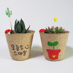 다육식물 종이 화분 그리기 DIY 키트