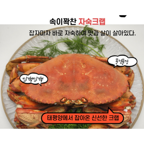 쫄깃쫄깃 속이꽉찬 담백한 신선한 왕특대 맛좋은 던전크랩, 4개