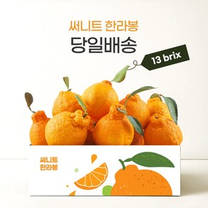 [프리미엄] 13bix 고당도 제주 써니트 한라봉 1kg/2kg/3kg 선물용, 1박스, 대과 1kg (4-5과)