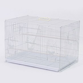 앵무새 60 날림장 60x41x41cm 앵무새새장 날림새장 새용품 420, 1개