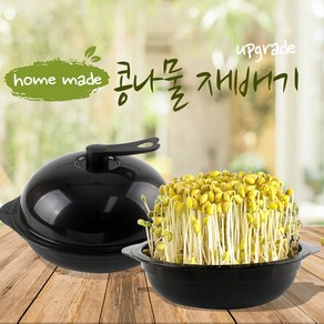 캣킨 집에서 키우는 쉬운 꾸밈 사각 콩나물재배기+콩30g 옵션선택, 꾸밈 원형콩나물재배기+30g, 1개