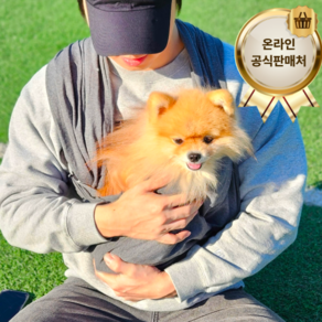 [불만족 시 100% 환불] 바이홈 강아지 고양이 캥거루 가방 포대기, 1개, 다크그레이