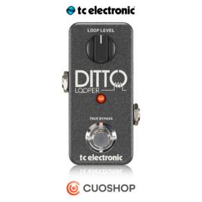 TC Electonic DITTO Steeo Loope 루퍼 티씨일렉트로닉 기타 이펙터 페달, 1개