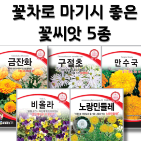 꽃차로 마시기 좋은 꽃씨앗 5종 메리골드 씨앗 금잔화 씨앗 구절초 씨앗 비올라 씨앗 민들레 씨앗 봄 여름 가을 파종 꽃씨 꽃씨몰, 1개