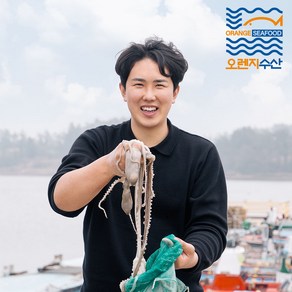 낙지 산낙지 해남 뻘낙지 세발 호롱구이 연포탕 국내산, 중낙지 (110~130g 내외), 10개