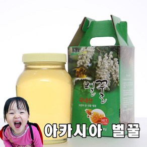 지리산 산청 아카시아 자연 벌꿀 2.4kg