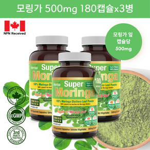 모링가 1000mg 180식물성캡슐 모링가잎 가루 분말 허바 캐나다, 180정, 3개