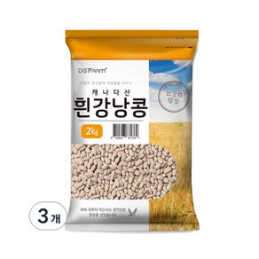 고단백 대구농산 흰강낭콩 요리다양성 2kg 3개