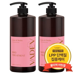 바디브 헤어 트리트먼트 1000ml 대용량 미용실 단백질 헤어팩 LPP 극손상 복구 손상모 러브앤데스티니향, 1L, 2개