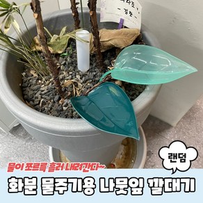 화분 물주기용 나뭇잎 깔대기, 1개