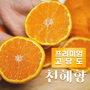 제주 천혜향 고당도 2kg 3kg 프리미엄 선물세트, 1개, 2kg가정용(중소)