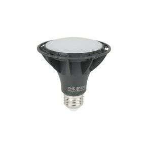 LED 더 뷰 파30램프 확산 15W, 주광색