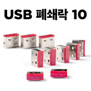 [스마트키퍼] 보안 커넥터 USB 폐쇄락 스마트키퍼 CSK-PC01P [레드/커넥터 10개], 1개