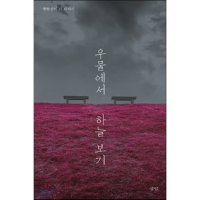 우물에서 하늘 보기:황현산의 시 이야기, 삼인, 황현산 저