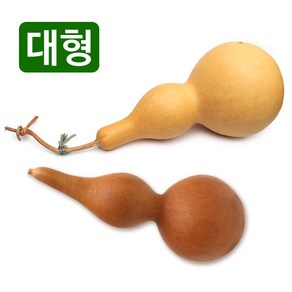 천연 통조롱박 중-대형 (통박 표주박 호롱박 전통장식 공예품, 중형-둘레27-길이13-지름8.5