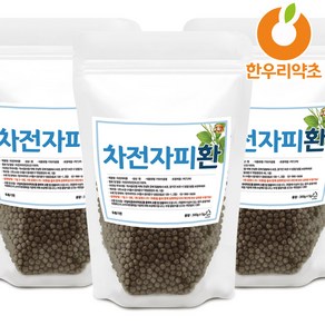 차전자피환 900g 질경이씨껍질환, 차전자피환900g, 1개