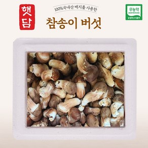 [3+1]햇담 참송이버섯 B급이하 가정형 농협에 납품하는 무농약 이천 참송이버섯, 1박스, 1kg