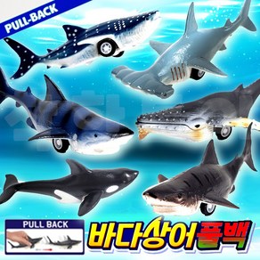 [탑프로모션] 바다상어풀백 돌고래풀백 피규어 풀백카 6종선택, 7.6종셋트, 1개