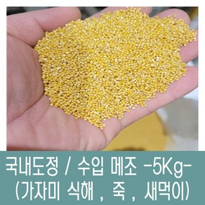 [다온농산] 수입 중국산 메조/메좁쌀 특품 -5Kg- 새먹이 죽 가자미식해