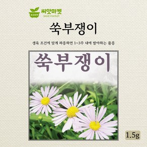 다농 쑥부쟁이 씨앗 1.5g, 1개