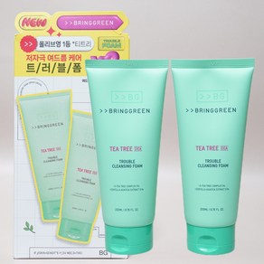 브링그린 티트리시카트러블클렌징폼 200mL+200mL 더블기획 (2개)