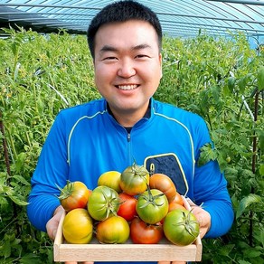 (람이네)재구매 많은 대저토마토 찰토마토 크기혼합 2.5kg 주스용 쥬스용 샐러드용, 1박스, 대저 찰토마토2.5kg