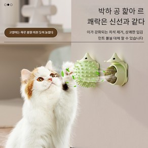 Runcats 고양이 캣닢 볼 간지럼 마사지 장난감