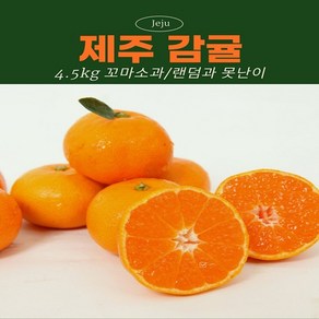 품질보증 제주 감귤 고당도, 1박스, 5kg 대과