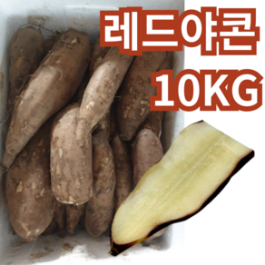 강원도 레드야콘 햇야콘 프리미엄 상특품 생식용 신선아삭, 1박스, 10kg