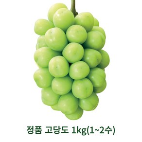 샤인머스캣 프리미엄 고당도 망고포도 수출용 가정용 2kg 4kg