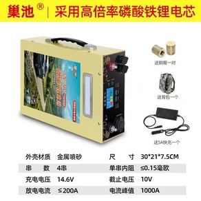 인산철 배터리 600A 야외 차박 뱅크 파워 고급 12V 24V, 공식 정품 12V30AH 리튬 철, 1개