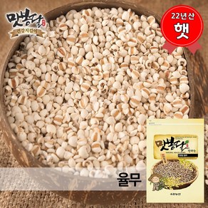 맛봉달 햇 24년산 국산율무 율무 율무쌀 국내산, 1개, 5kg