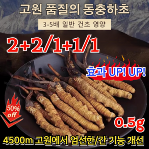 2+2/1+1/1 고급 동충하초 효과 UP! UP! 자연산 동충하초 동충하초 절편 4500m 고원에서 엄선한/간 기능 개선, [1+1] 0.5g