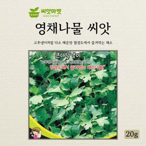 세계종묘 영채나물 큰다닥냉이 씨앗 20g, 40. 영채나물 20g, 1개