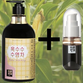 국내산 옥수수수염차 원액 850g 가정용 업소용 대용량 원액 + 휴대용기 증정, 1개, 850ml