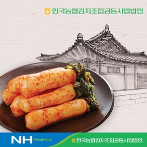 한국농협김치 청산 총각김치3kg, 1개, 3kg